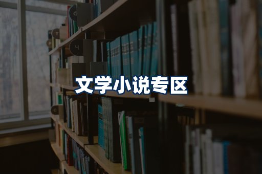 文学小说PDF展示